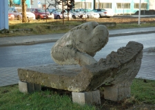Silou vůle