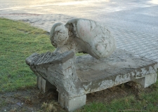 Silou vůle