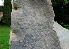 detail